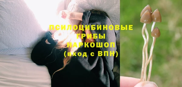 spice Бронницы
