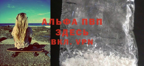spice Бородино