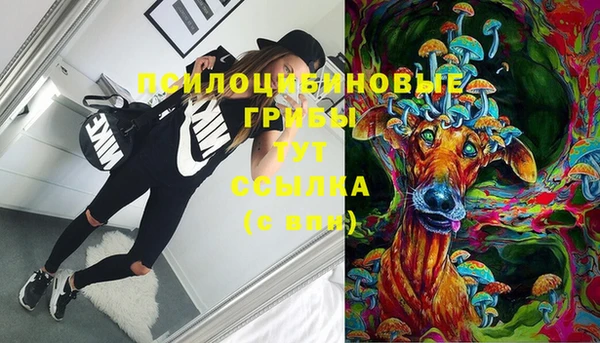 ПСИЛОЦИБИНОВЫЕ ГРИБЫ Беломорск