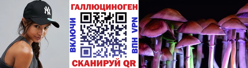 Псилоцибиновые грибы Cubensis  Когалым 